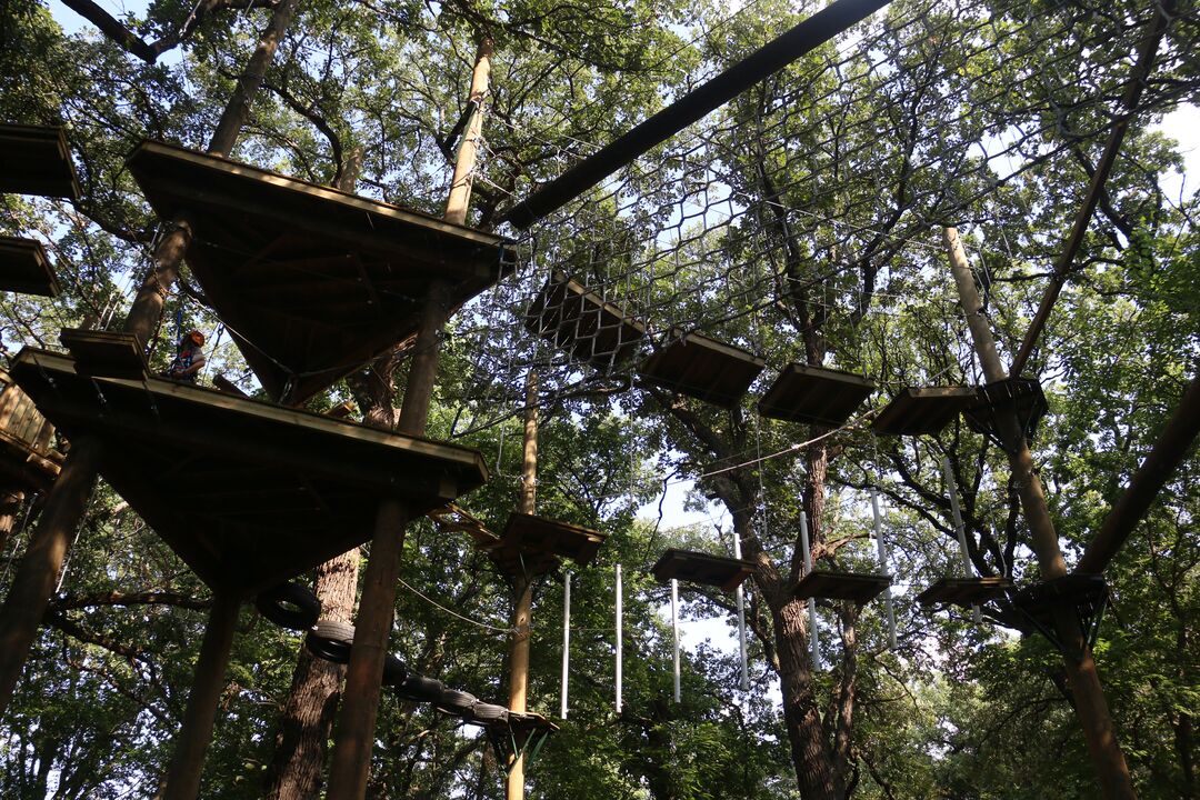 Eugene's Adventure Course