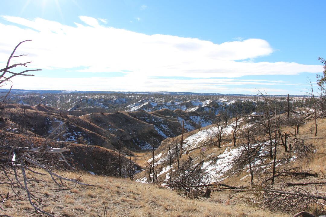 Snowy Chadron State Park