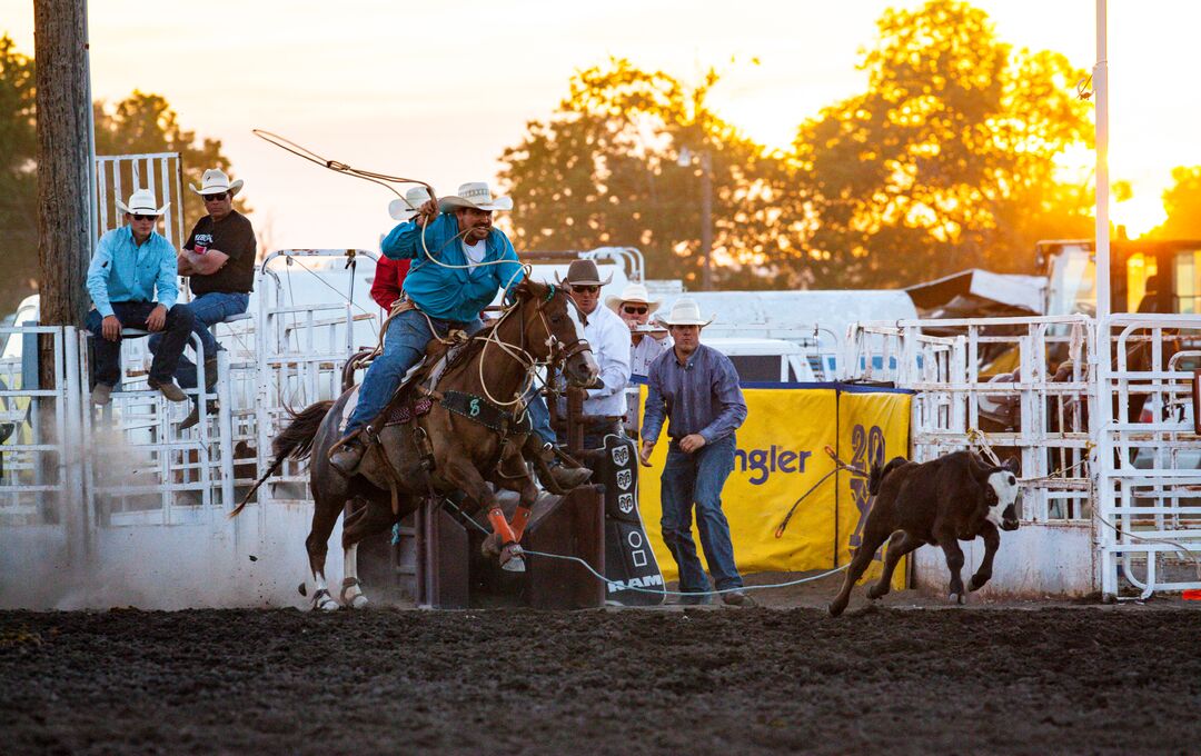 Cheyenne County Fair, Rodeo