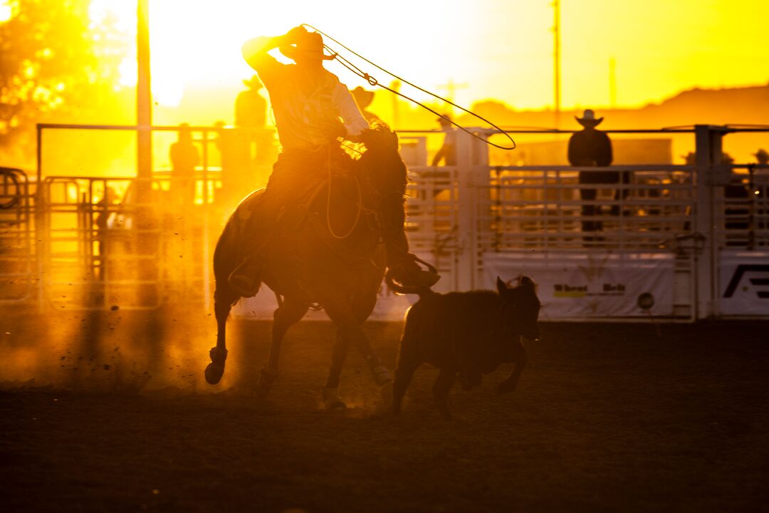 Cheyenne County Fair, Rodeo