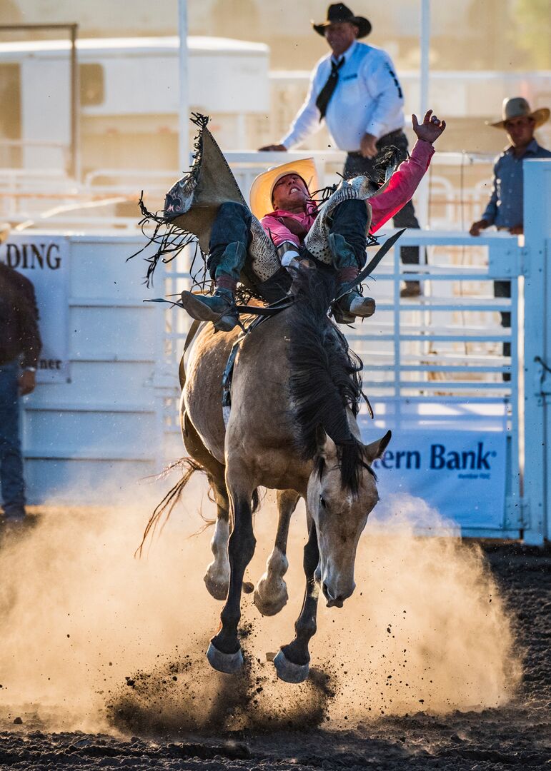 Cheyenne County Fair, Rodeo