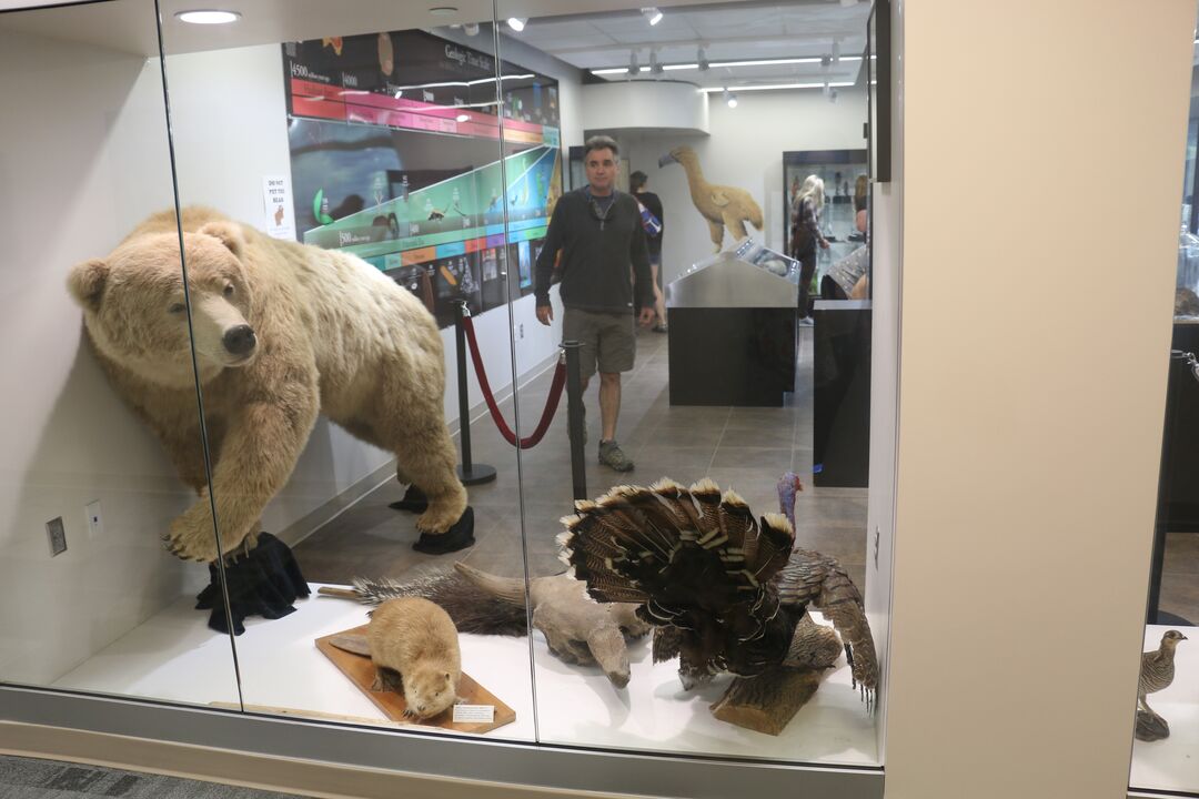 Natural History Museum | Wayne State College