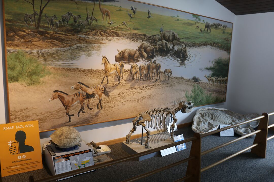 Ashfall Fossil Beds State Historical Park