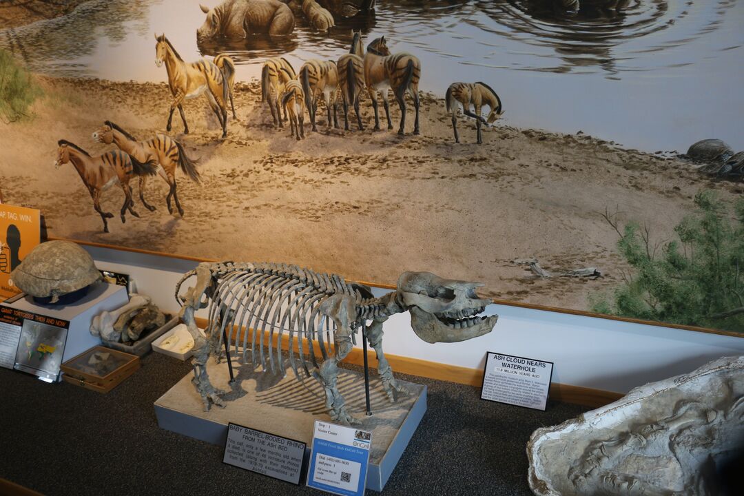 Ashfall Fossil Beds State Historical Park