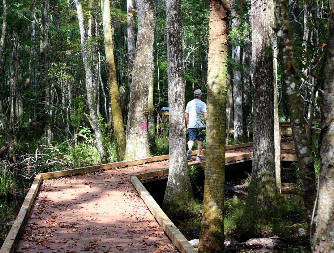 Buford boardwalk 2