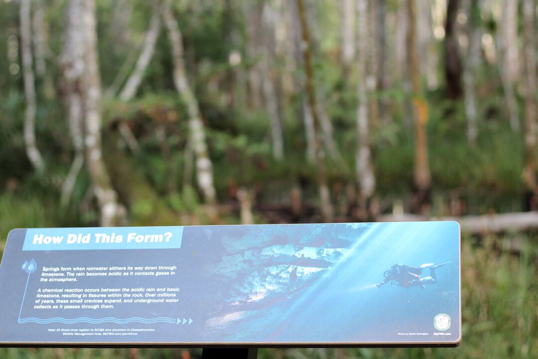 Buford boardwalk signage