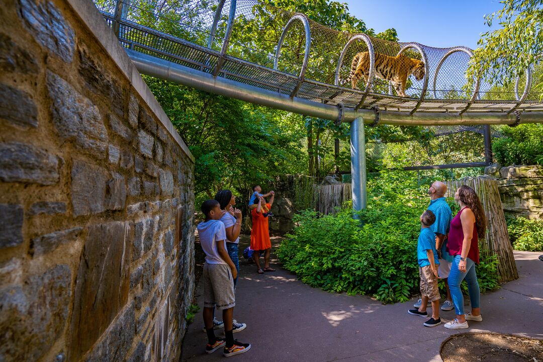 Philadelphia Zoo