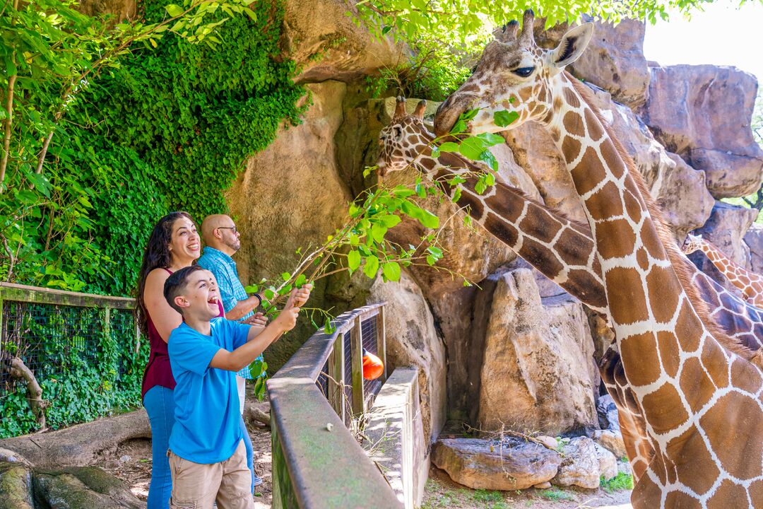 Philadelphia Zoo