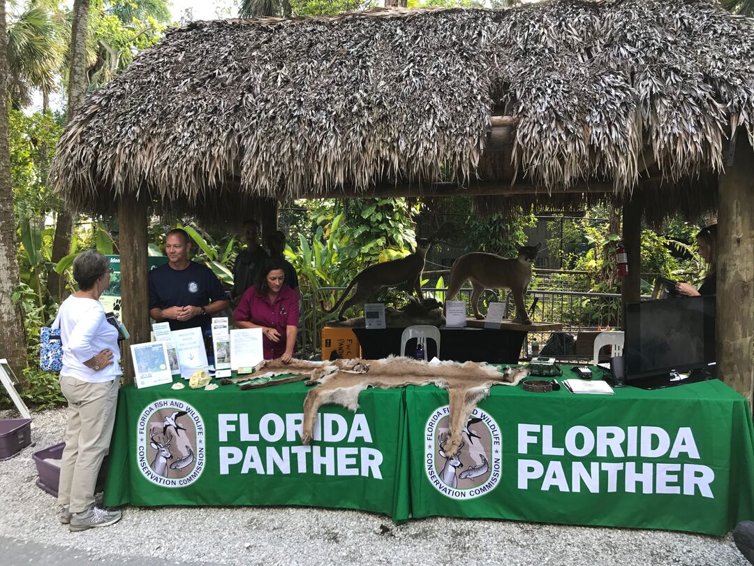 Florida Panther Festival