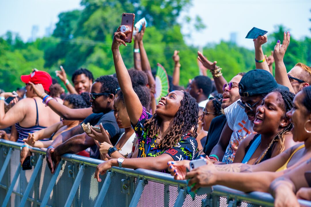 The Roots Picnic