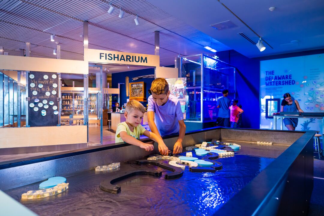 Independence Seaport Museum: River Alive!