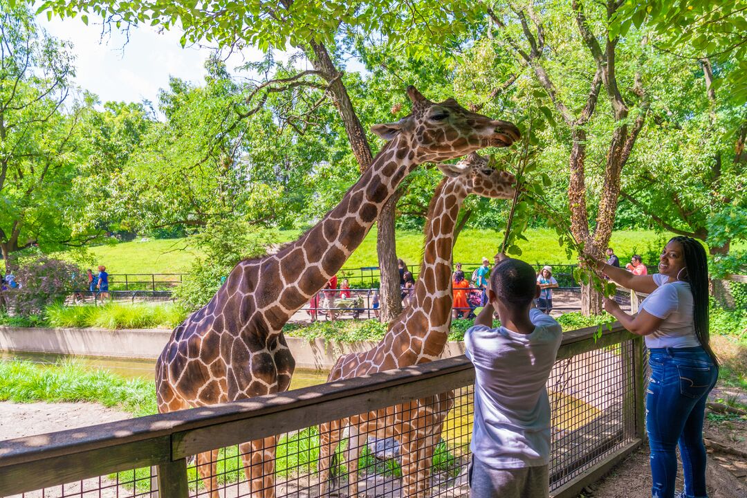 Philadelphia Zoo