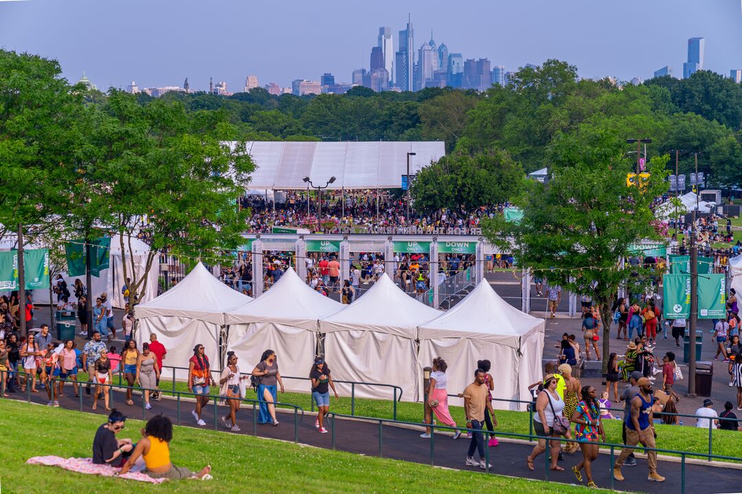 The Roots Picnic