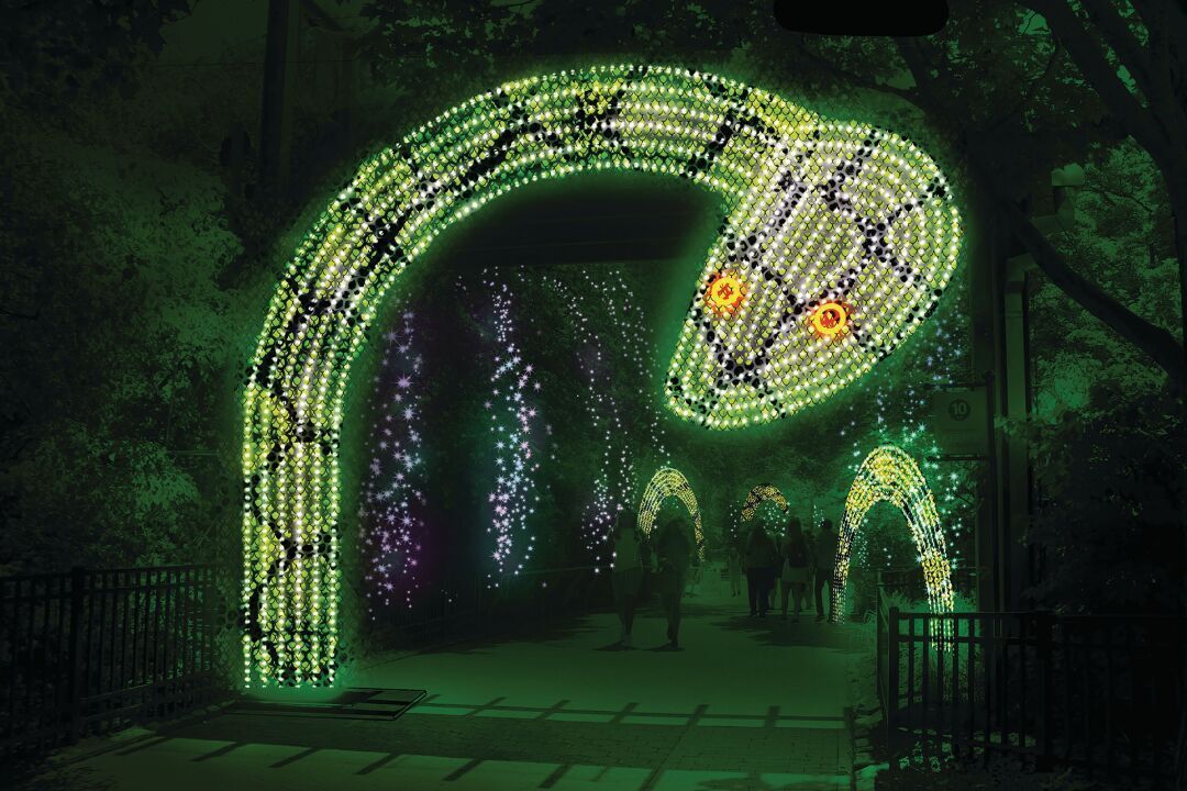 LumiNature at Philadelphia Zoo