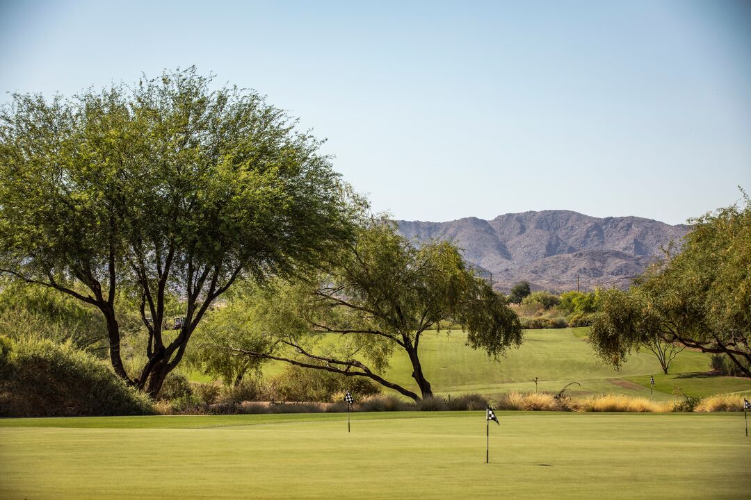 Whirlwind Golf Club at Wild Horse Pass