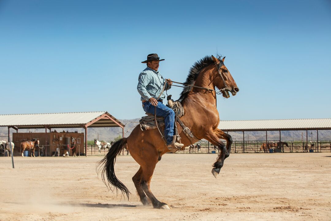 KOLI Equestrian Center