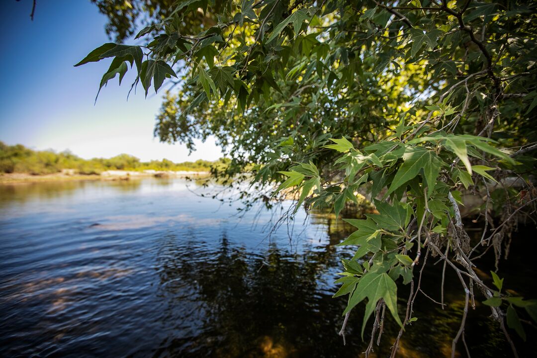 Verde River at Fort McDowell Yavapai Nation