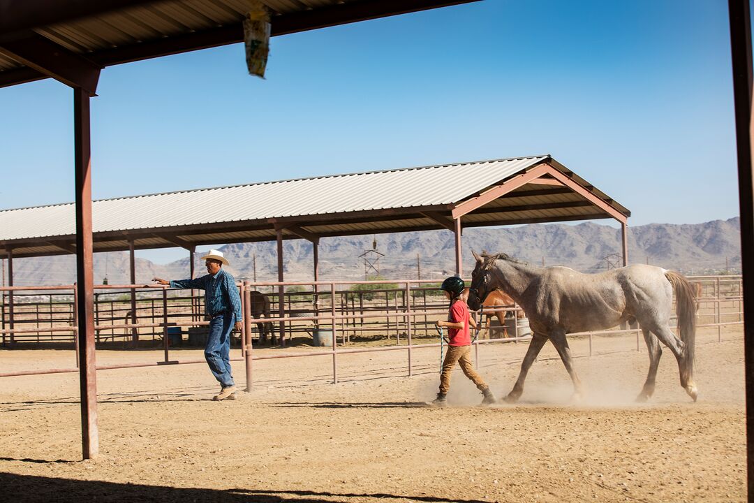 KOLI Equestrian Center