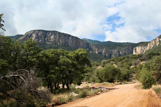 Carr Canyon