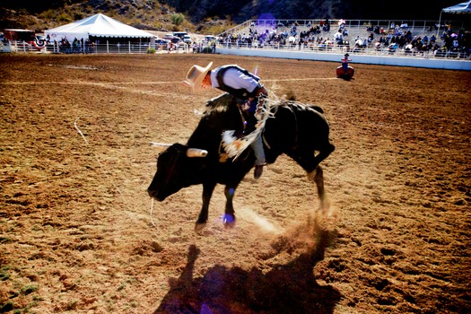 Bull Rider