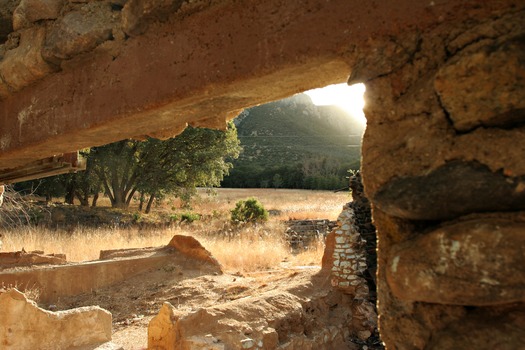 Carr Canyon Ranch