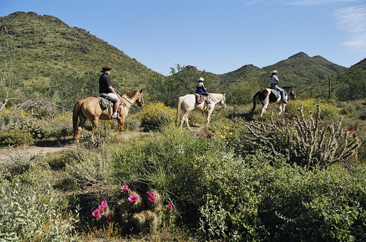 Cave Creek Regional Park