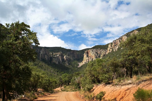 Carr Canyon Ranch