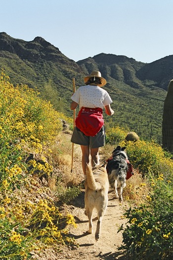 Usery Mountain Regional Park