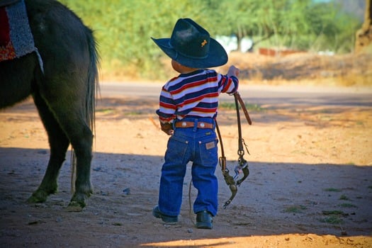 Little Cowboy