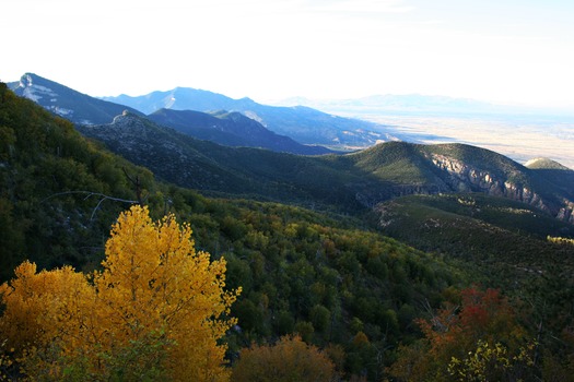 Carr Canyon