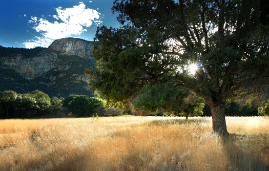 Carr Canyon