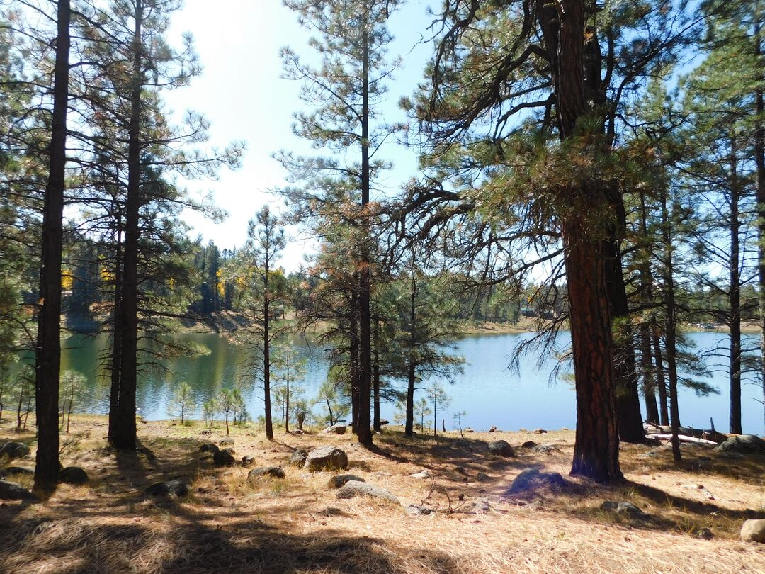 Pinetop-Lakeside Weekendzona