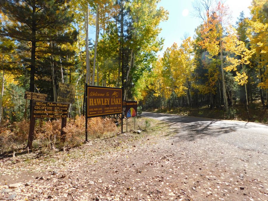 Pinetop-Lakeside Weekendzona_credit Local First AZ Rural Development Council