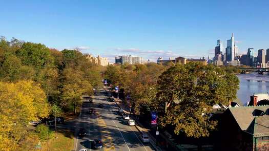 Kelly Drive fall skyline