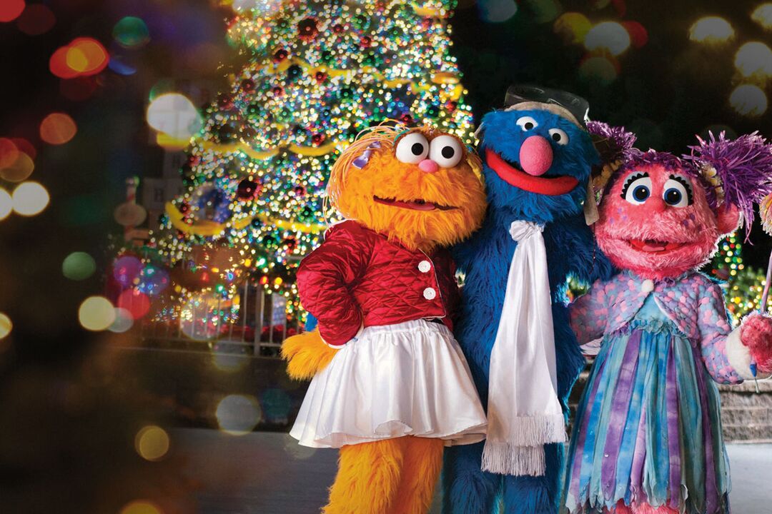 Sesame Place: A Very Furry Christmas