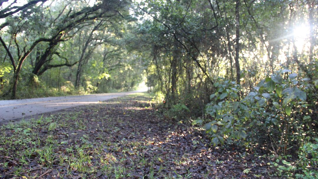 Good Neighbor Trail Sunshine