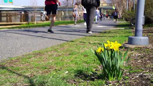 Schuylkill Banks trail spring