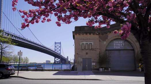 Cherry Street Pier spring cherry blossoms