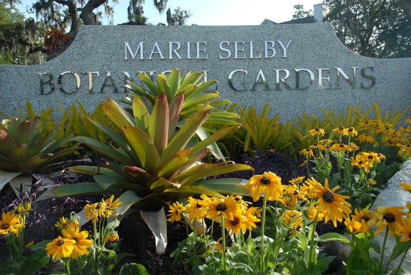 Selby Gardens