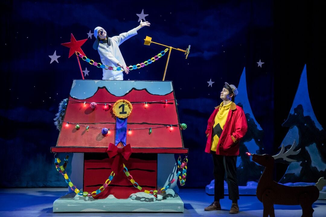 A Charlie Brown Christmas Live On Stage