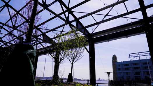 Cherry Street Pier spring