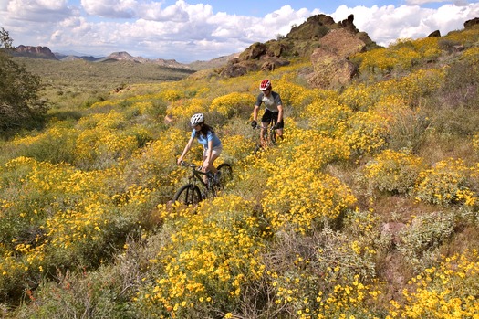 Superstition Mountains