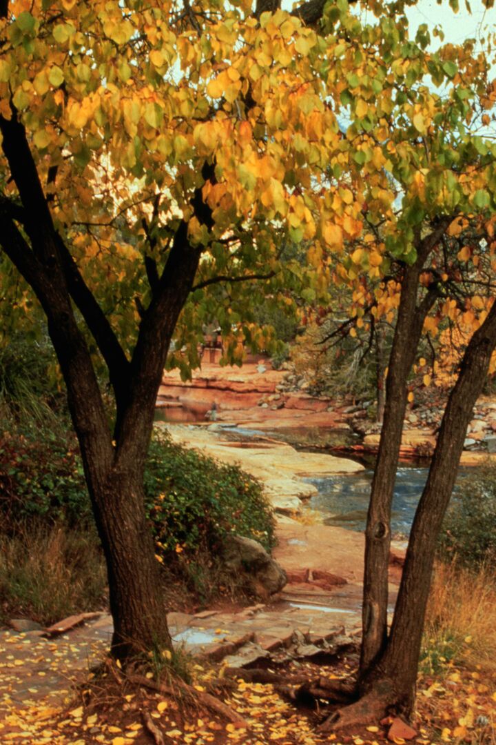 Red Rock State Park