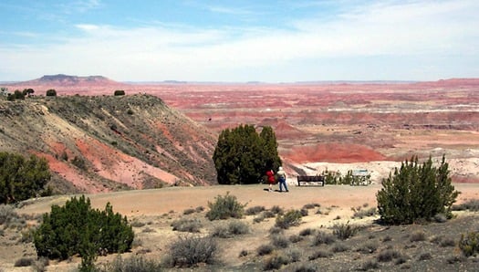 Painted Desert Trail