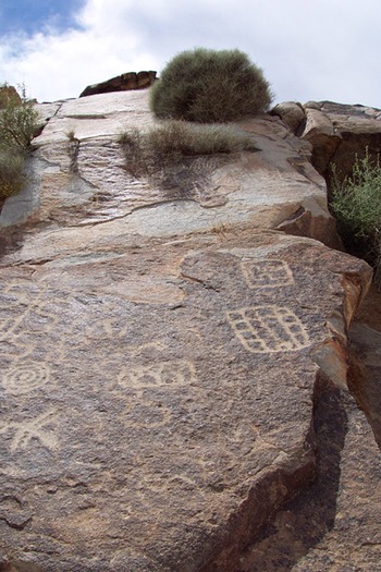 Arizona Desert