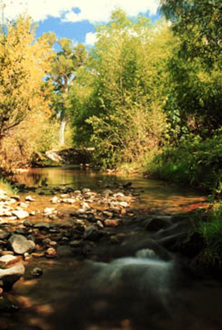 Sonoita Creek Natural Area, Sonoita_credit Arizona State Parks and Trails