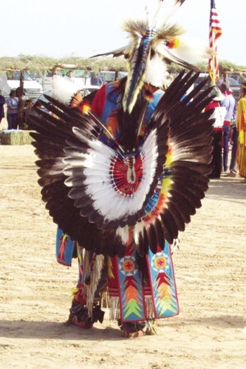 Pow Wow Dancer