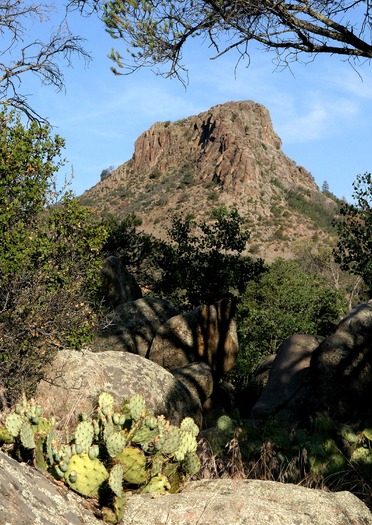 Prescott National Forest