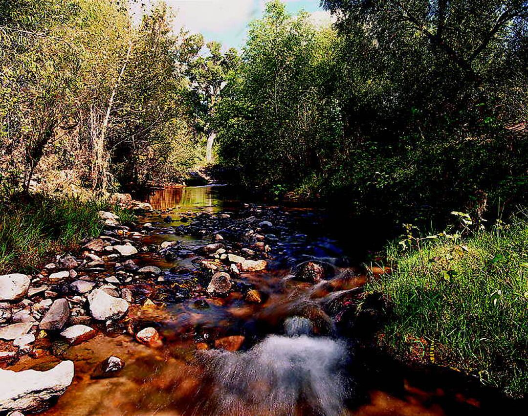 Sonoita Creek Natural Area, Sonoita_credit Arizona State Parks and Trails