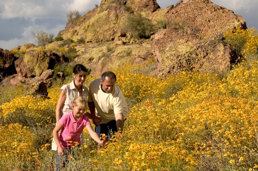 Superstition Mountains